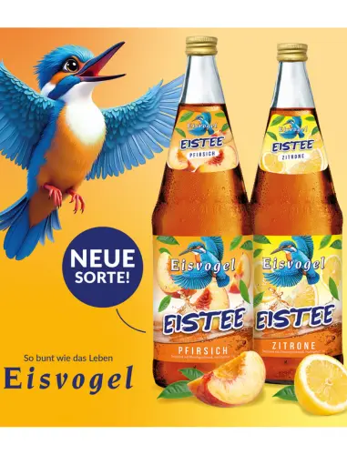 eisvogel-eistee